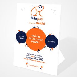 Dilapay: cos’&egrave;, come funziona e come acquistare